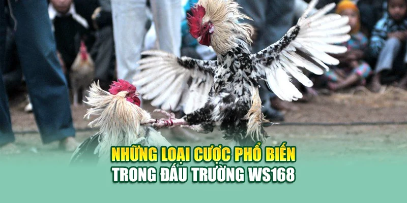 Những loại cược phổ biến trong đấu trường WS168