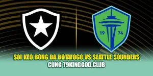 Soi Kèo Bóng Đá Botafogo Vs Seattle Sounders Cùng dirkkuytofficialwebsite.com